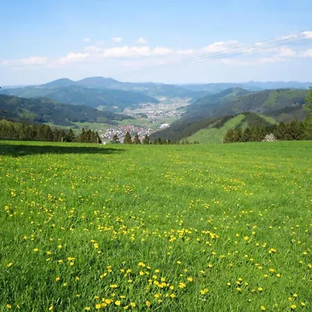 Cozy In Schwenningen With Garden 公寓 *