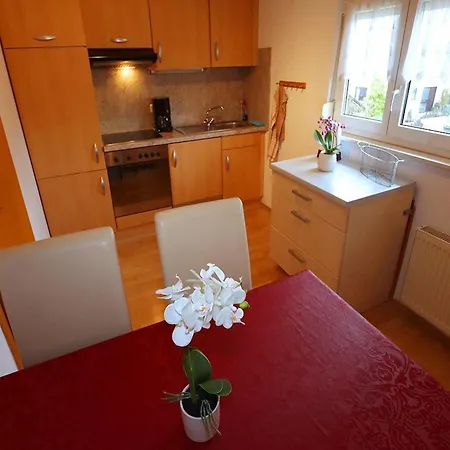 Cozy In Schwenningen With Garden شقة