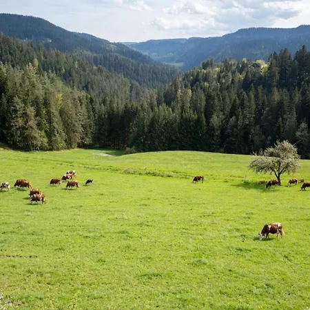 公寓 Cozy In Schwenningen With Garden