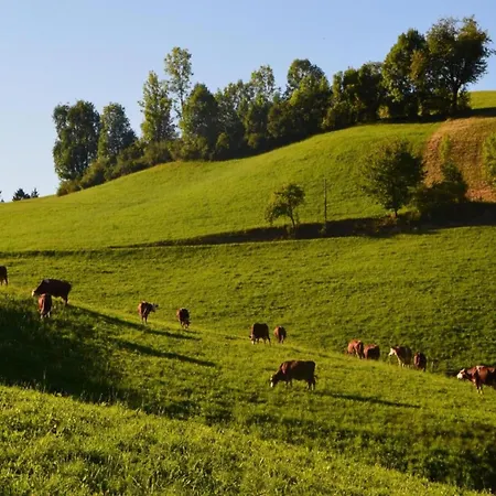 公寓 Cozy In Schwenningen With Garden *