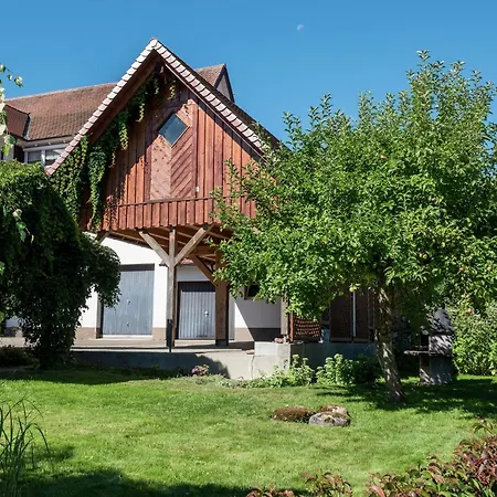 Cozy In Schwenningen With Garden 公寓 菲林根-施文宁根