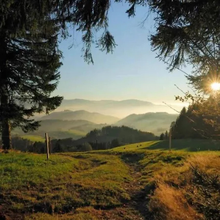 公寓 Cozy In Schwenningen With Garden 菲林根-施文宁根