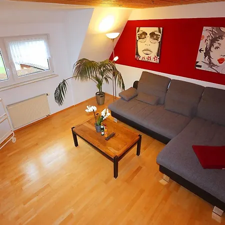 Cozy In Schwenningen With Garden 菲林根-施文宁根