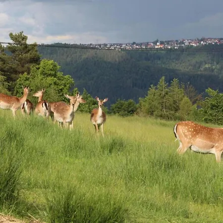 公寓 Cozy In Schwenningen With Garden