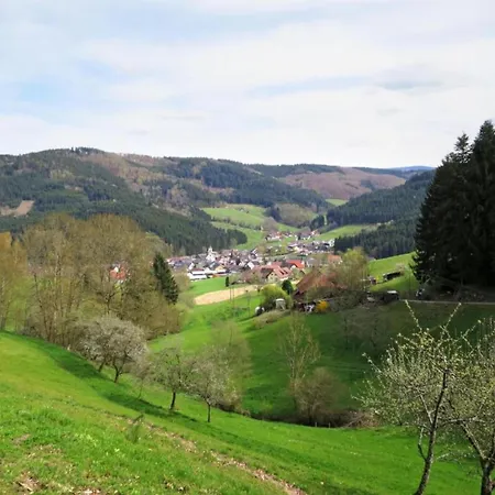 Cozy In Schwenningen With Garden 公寓 *