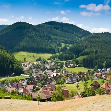 公寓 Cozy In Schwenningen With Garden *