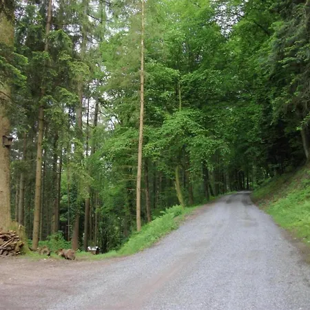 Cozy In Schwenningen With Garden 公寓 菲林根-施文宁根