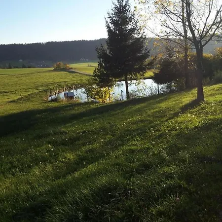 公寓 Cozy In Schwenningen With Garden 菲林根-施文宁根