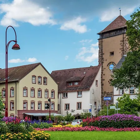 Cozy In Schwenningen With Garden * 菲林根-施文宁根