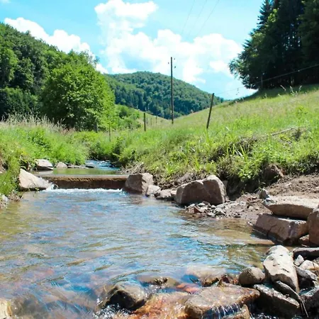 Cozy In Schwenningen With Garden 公寓