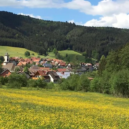 Cozy In Schwenningen With Garden Apartment *