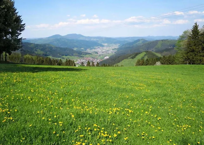 Cozy In Schwenningen With Garden Апартаменты *