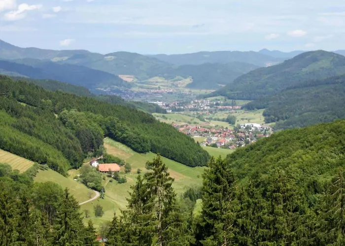 Cozy In Schwenningen With Garden