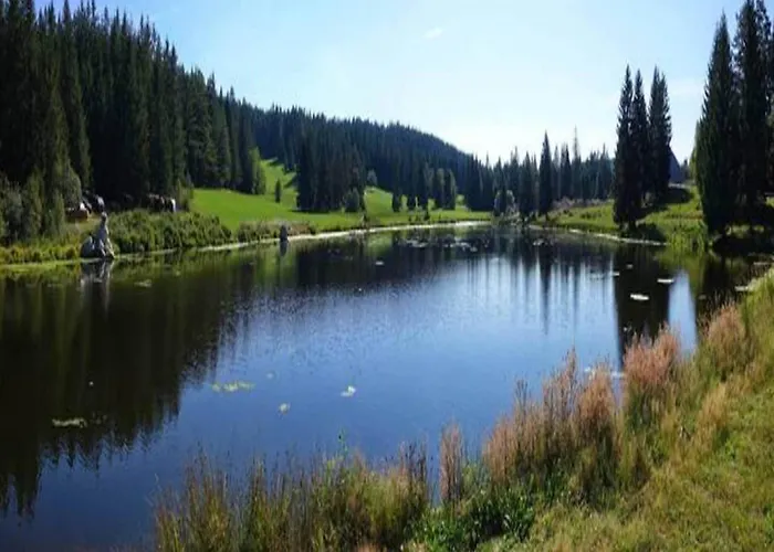 Cozy In Schwenningen With Garden Филлинген-Швеннинген