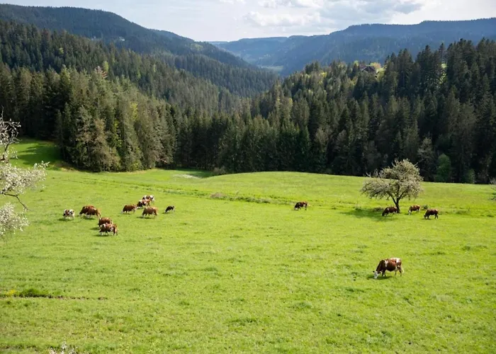 Апартаменты Cozy In Schwenningen With Garden