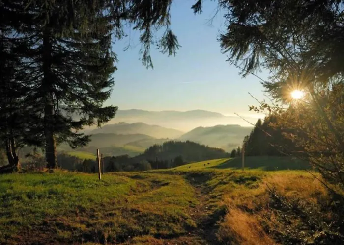 Апартаменты Cozy In Schwenningen With Garden Филлинген-Швеннинген