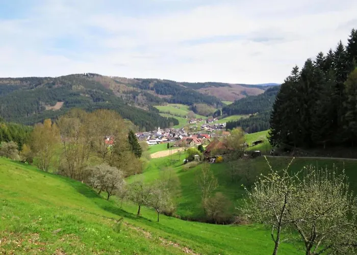 Cozy In Schwenningen With Garden Апартаменты *