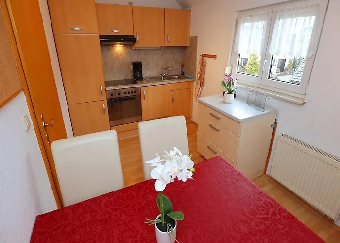 Апартаменты Cozy In Schwenningen With Garden