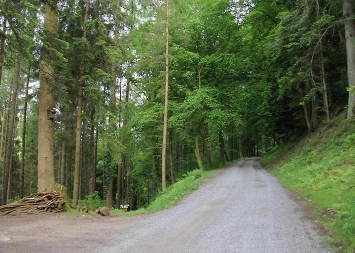 Cozy In Schwenningen With Garden Апартаменты Филлинген-Швеннинген