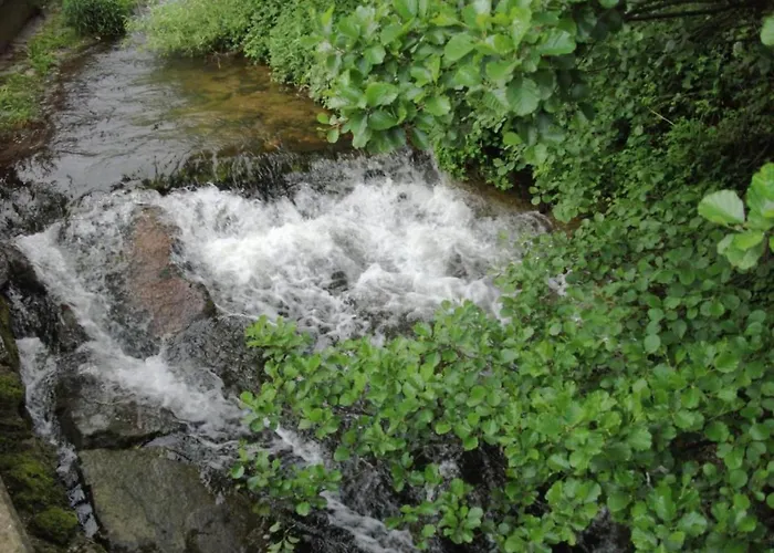 Cozy In Schwenningen With Garden Апартаменты