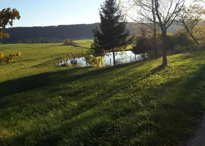 Апартаменты Cozy In Schwenningen With Garden Филлинген-Швеннинген