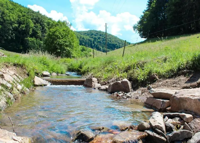 Cozy In Schwenningen With Garden Апартаменты