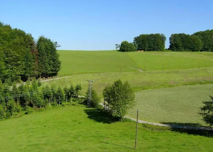 Апартаменты Cozy In Schwenningen With Garden *