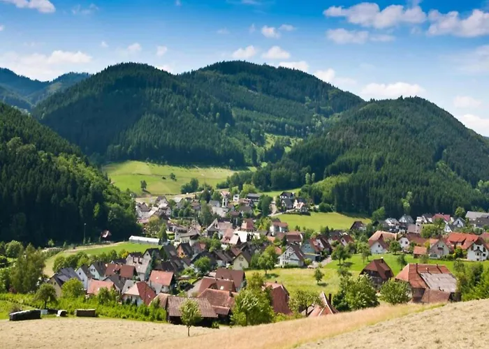 Cozy In Schwenningen With Garden Филлинген-Швеннинген