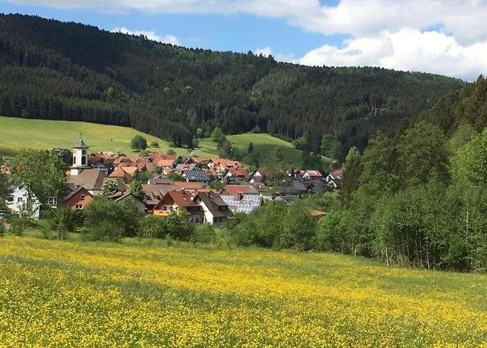 Cozy In Schwenningen With Garden Апартаменты *