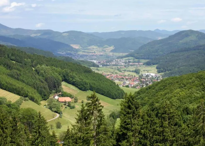 Cozy In Schwenningen With Garden * Филлинген-Швеннинген